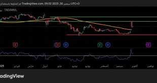 شارت سهم مصرف الانماء