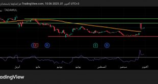 شارت سهم مصرف الانماء