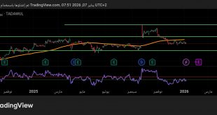 شارت سهم مصرف الراجحى