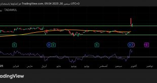 شارت سهم مصرف الراجحى
