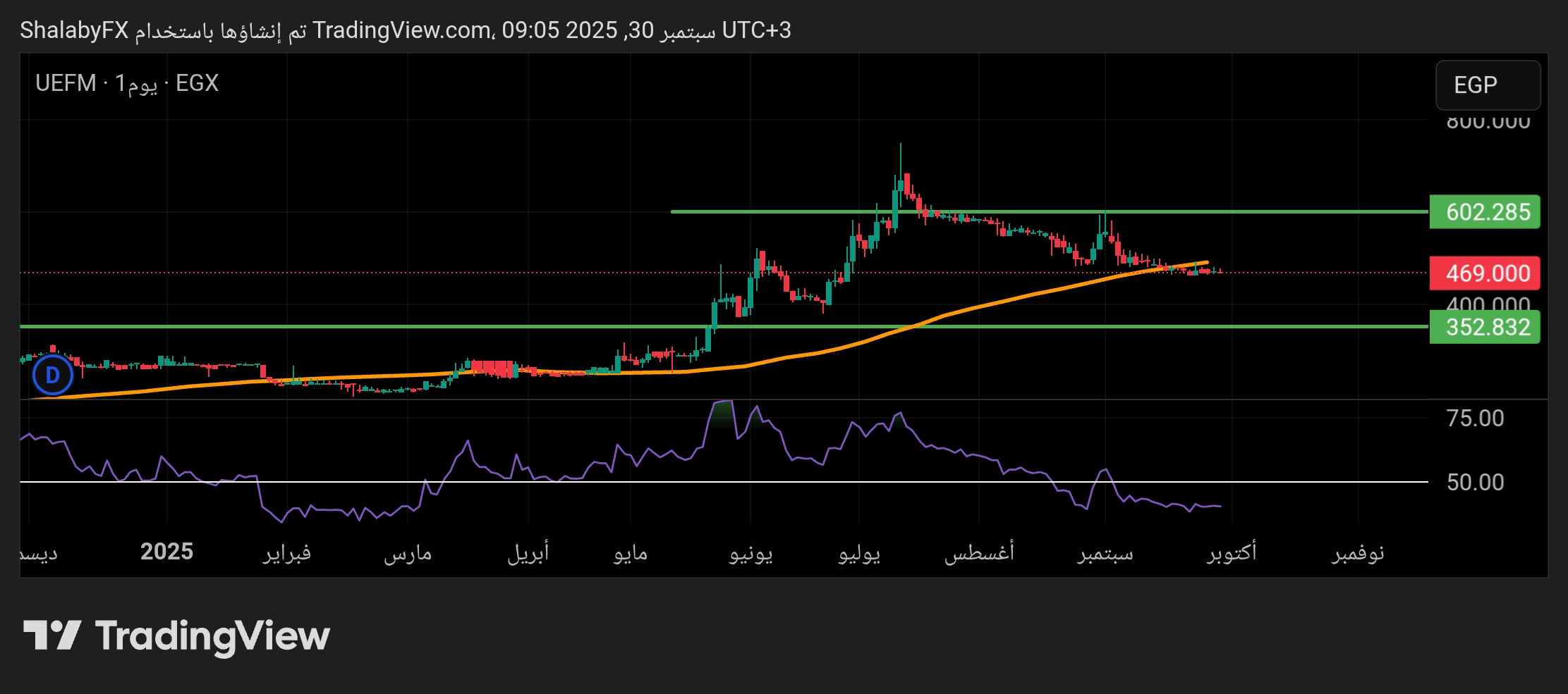 سعر سهم مطاحن مصر العليا في بورصة مصر، ما هي أفضل مستويات الشراء؟