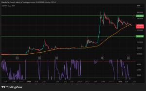 سهم مطاحن ومخابز جنوب القاهرة والجيزة