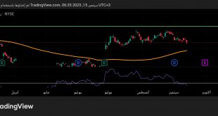 شارت سهم نايكى