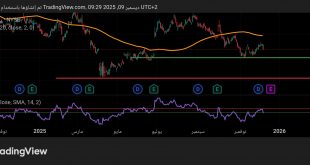 شارت سهم نايك