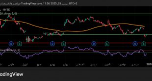 شارت سهم نايكى