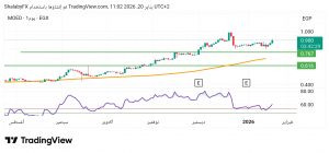 شارت سهم المصرية لنظم التعليم