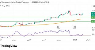 شارت سهم المصرية لنظم التعليم
