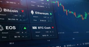 ظهر مؤخرا مصطلح حوت البيتكوين والذي تم نسبه إلى حوت العملات الرقمية الاول، رجل الاعمال الامريكي ايلون ماسك