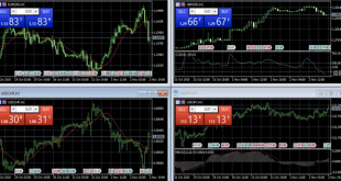 مقارنة منصات التداول